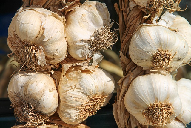 11 Proven Health Benefits of Garlic